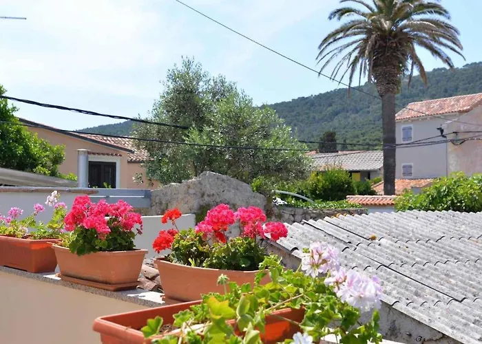 Διαμέρισμα In 15050 Veli Lošinj